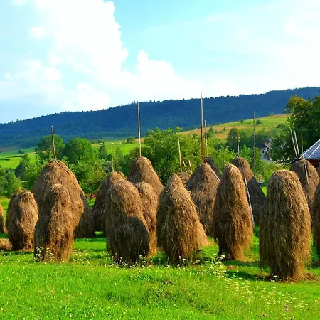Hytte родинне гніздо Zhdanivka (Lviv)
