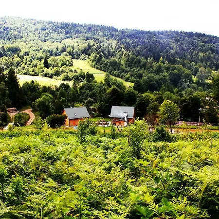 родинне гніздо Hytte